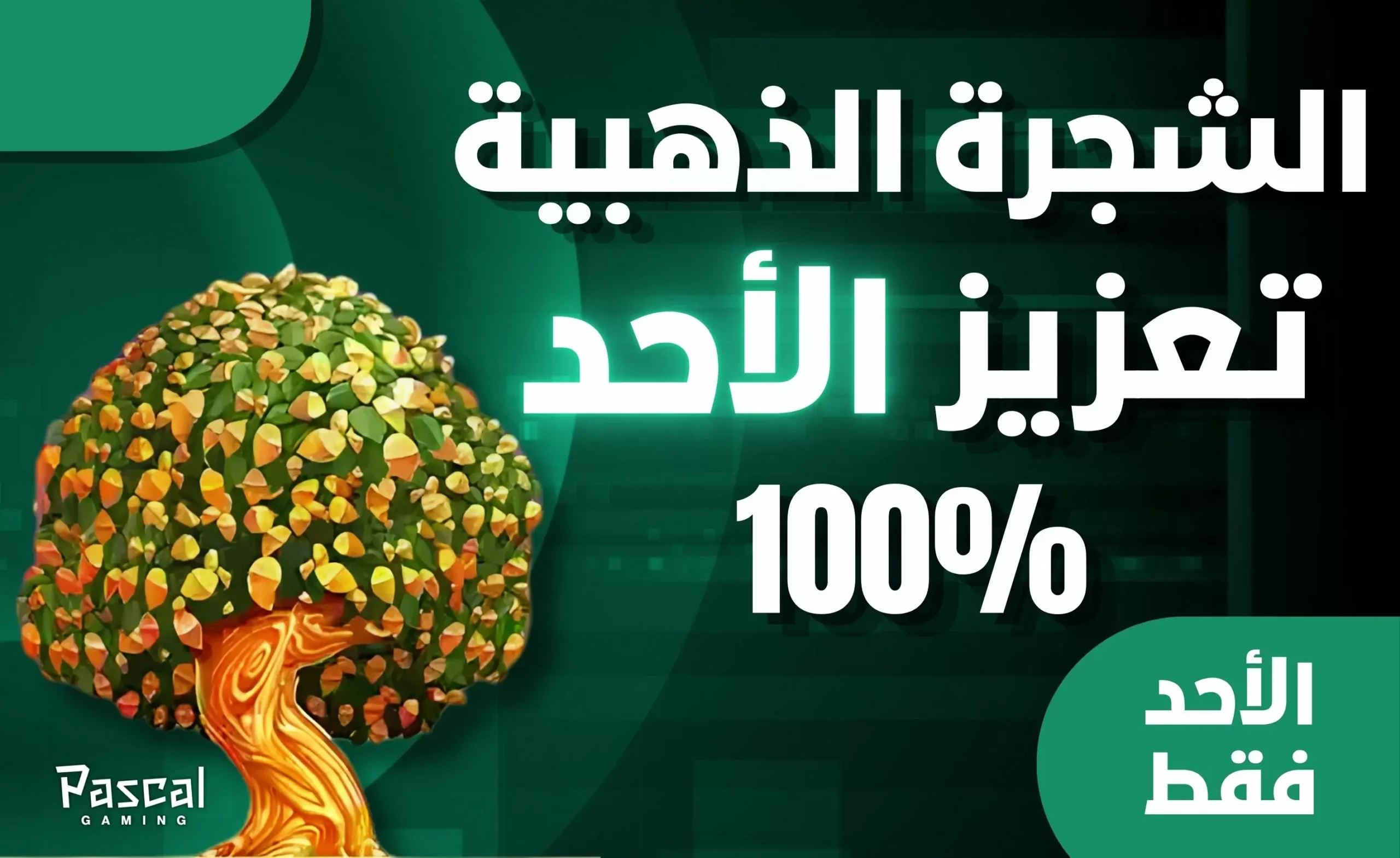 مكافأة Golden Tree يوم الأحد