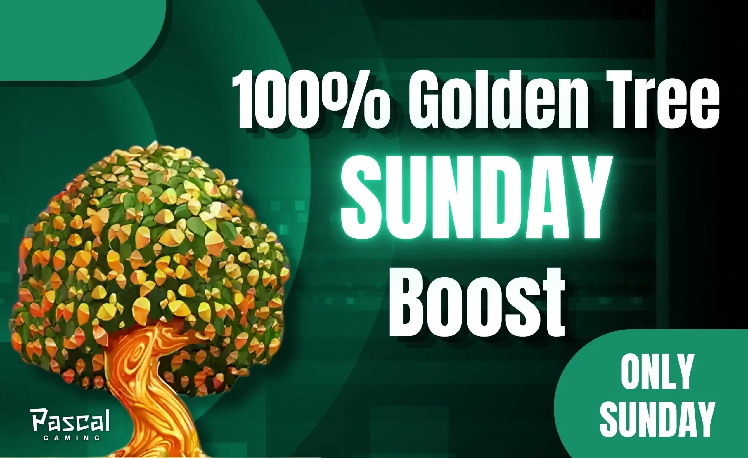 Time4Bets 100% Golden Tree Sunday Casino Promotion